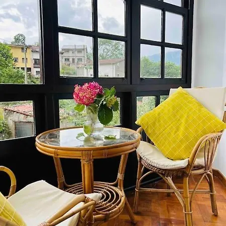 펜션 Acogedora Casa En Arangas Cabrales